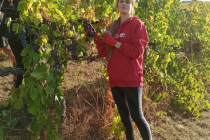 Praxe zahradníků v rodinném vinařství - Calisese di Cesena